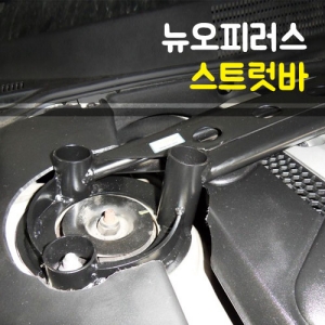 뉴오피러스 스트럿바